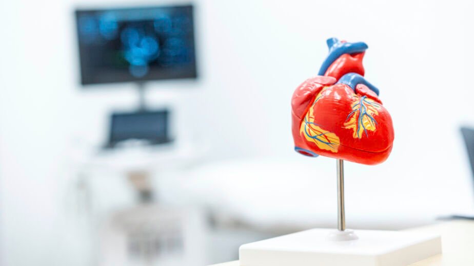 How to Request a Cardiology Appointment in Houston: What Patients Should Know